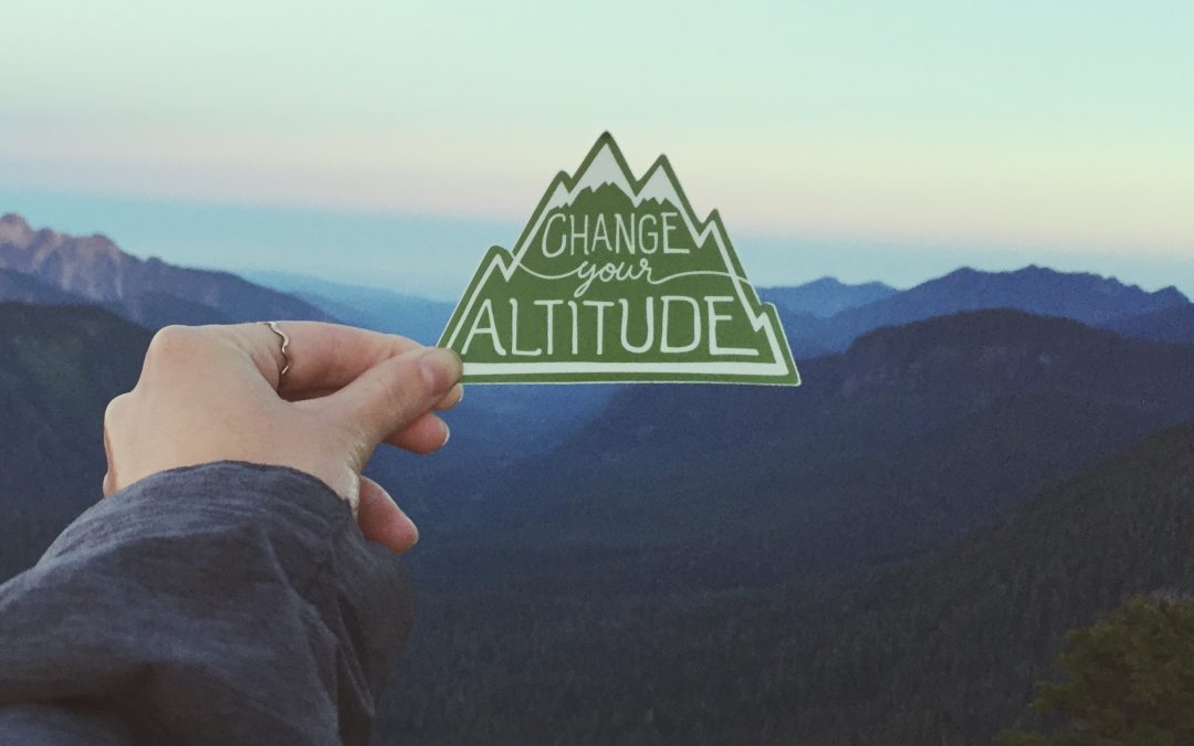 Change Your Altitude – Vinyl Sticker