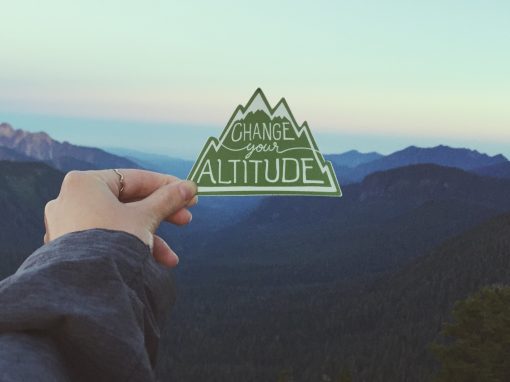 Change Your Altitude – Vinyl Sticker