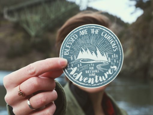 Blessed are the Curious – Vinyl Sticker