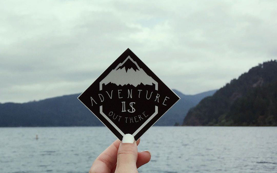 Adventure is Out There – Vinyl Sticker