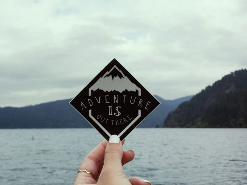 Adventure is Out There – Vinyl Sticker